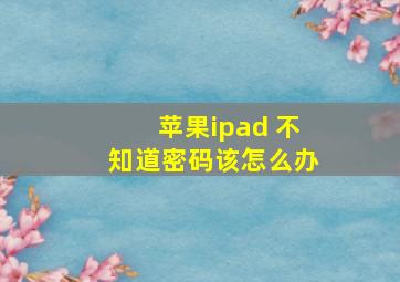 苹果ipad 不知道密码该怎么办